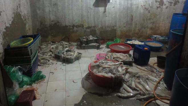 Hà Nội: Mực thối thành... mực ngon